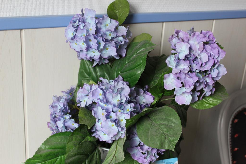 La Demeure Aux Hortensias Pleurtuit Exterior foto